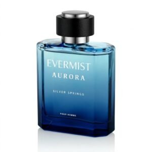 Home evermist 100 ml perfume for men edp